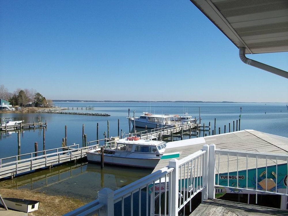 Chesapeake House Tilghman Island Exteriér fotografie